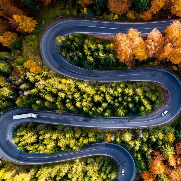 4 Things To Consider When Owning A Small Animal Veterinary Medical